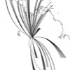 flujo – Cuenca 1998