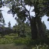 en el bosque